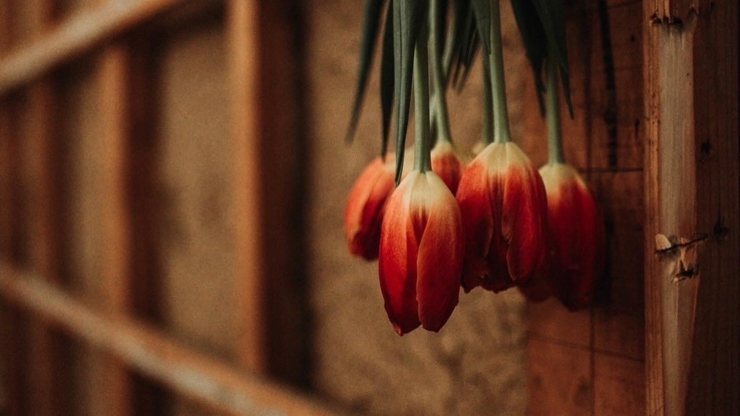 0C0E0B5C-1546-4F25-B773-E477DA73EDD1