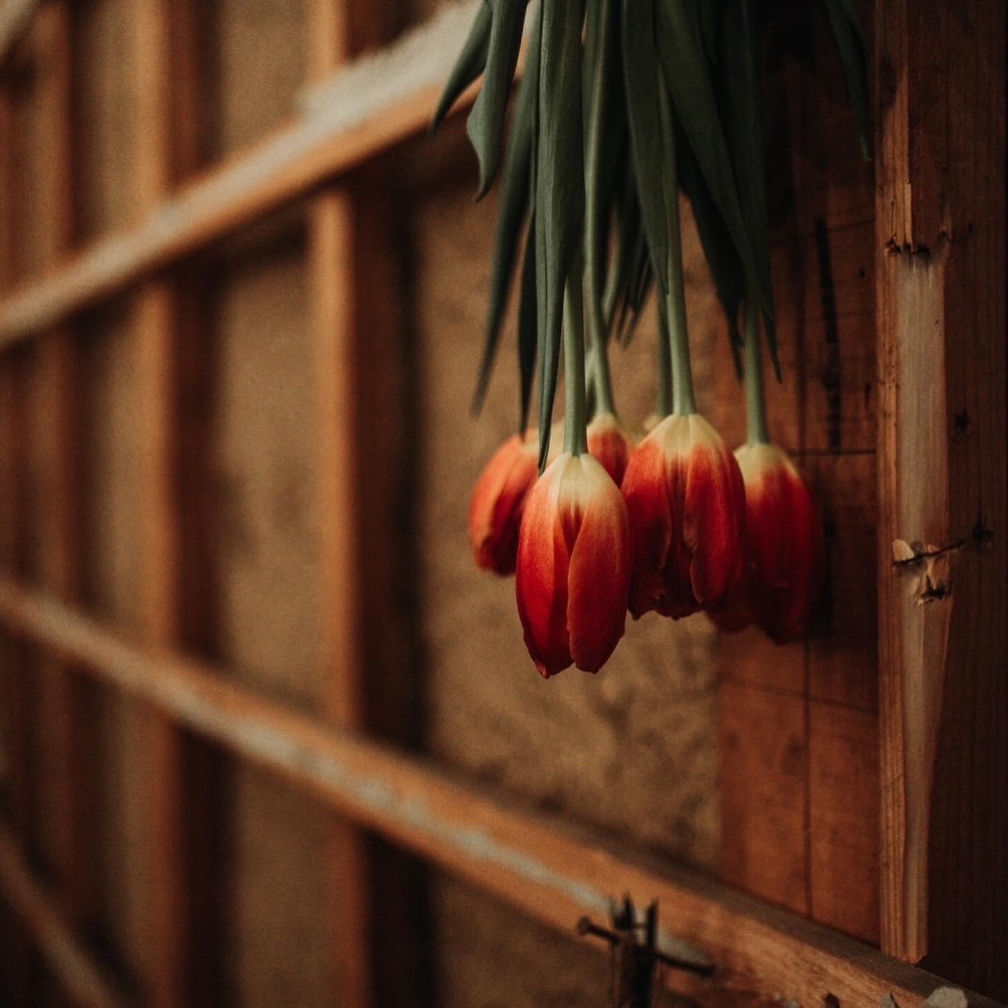 0C0E0B5C-1546-4F25-B773-E477DA73EDD1