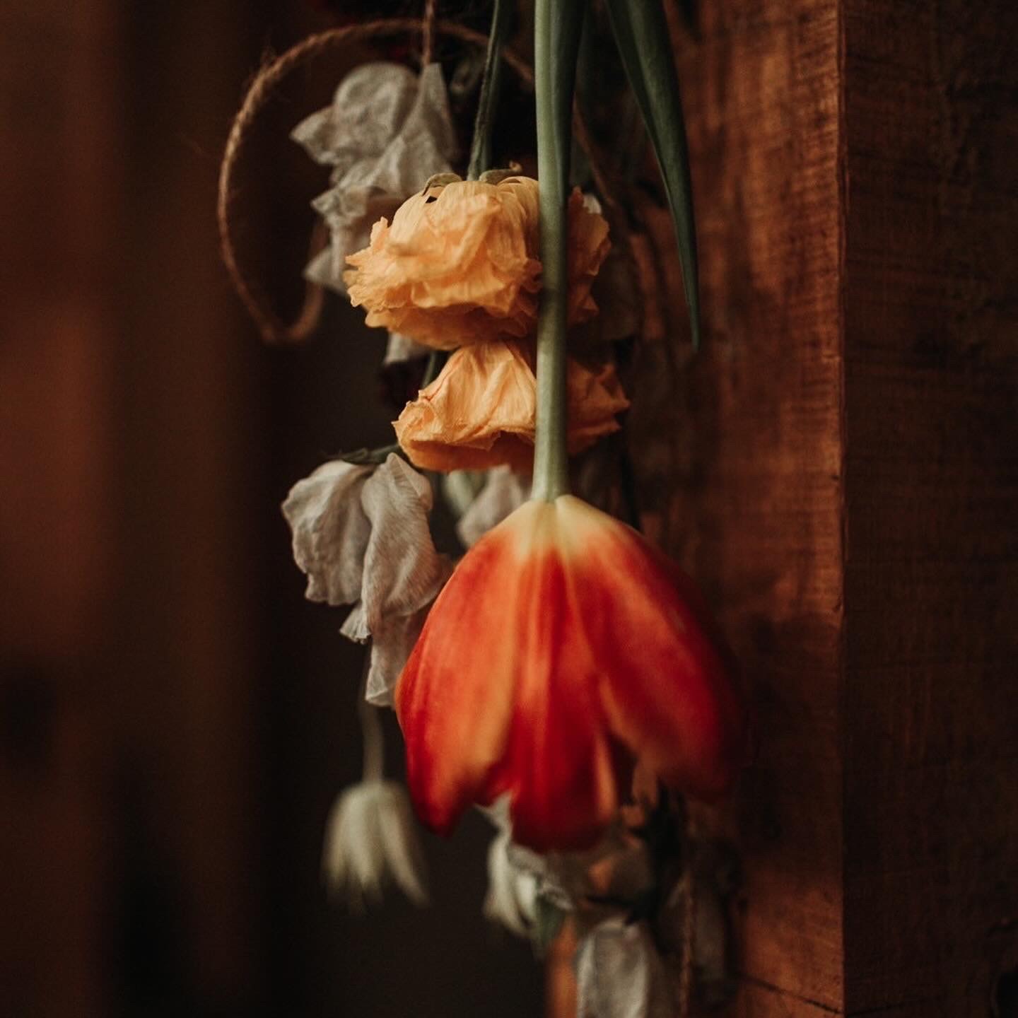 48BEB06D-151B-46EB-AA73-CDCBF5A8E002