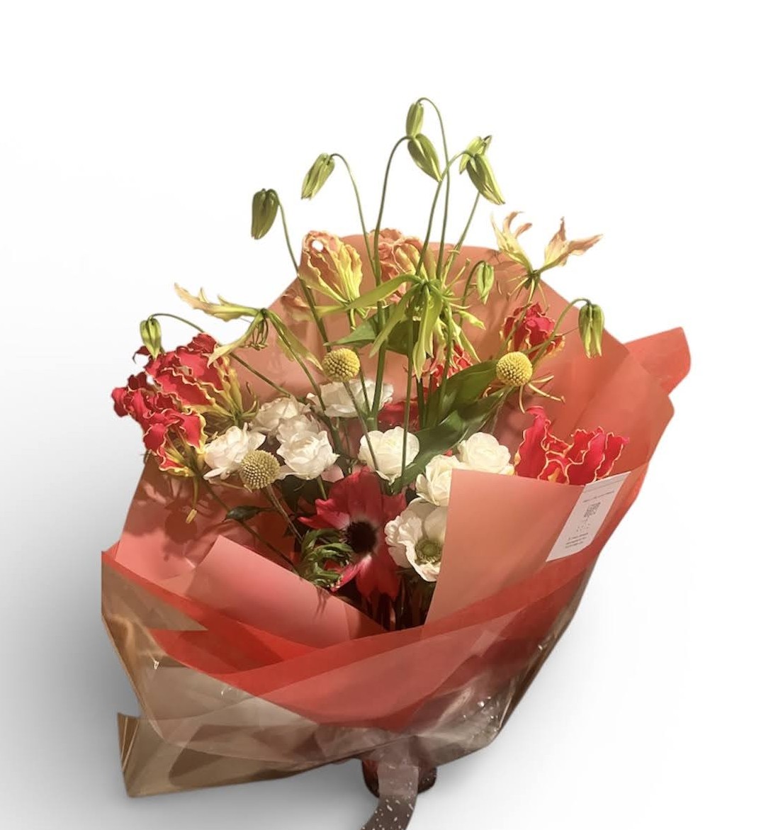 Photoroom_20251220_211606 (1)