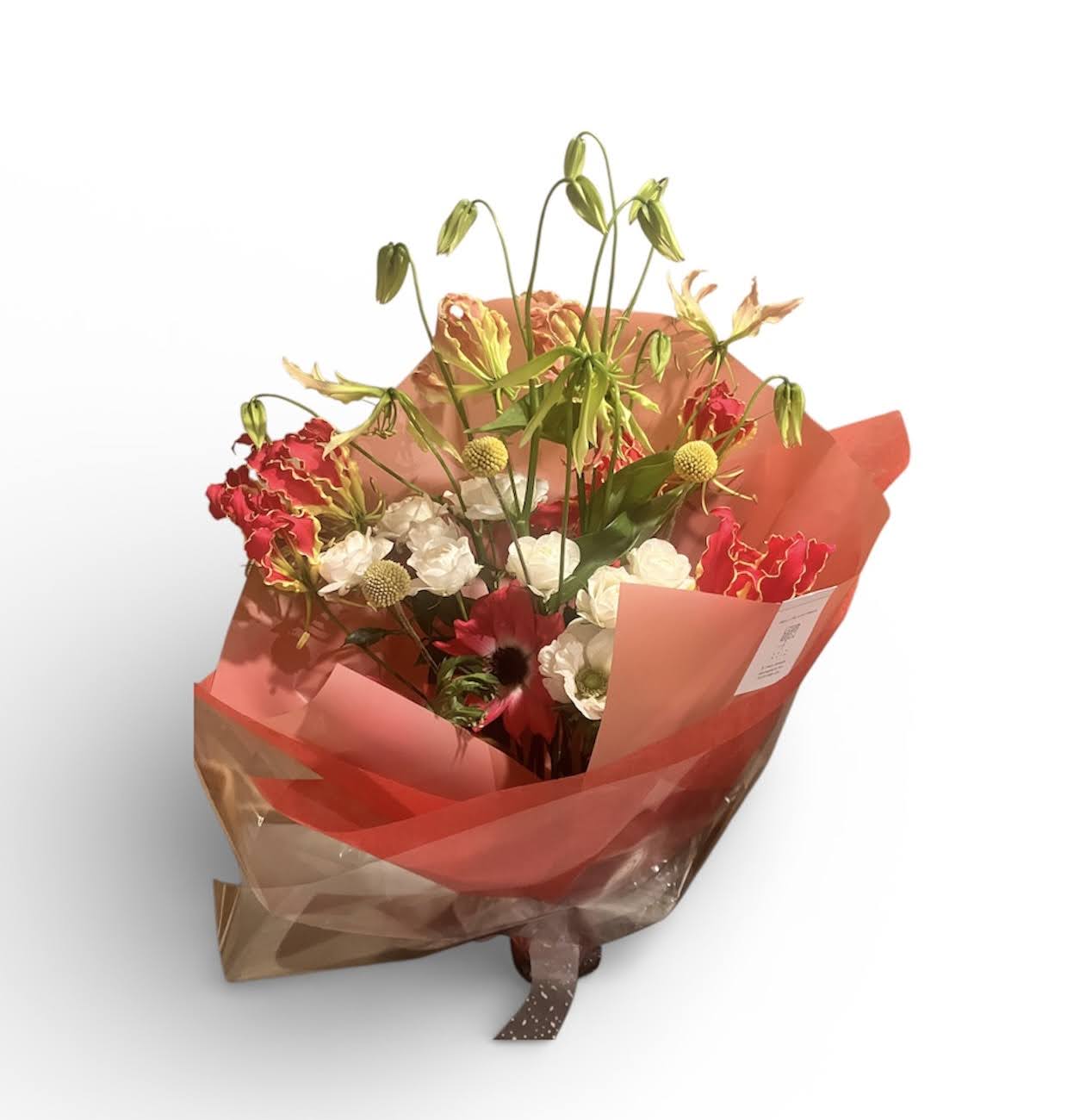 Photoroom_20251220_211606 (1)